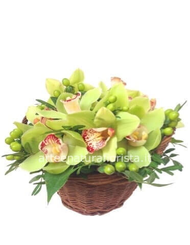 Cestino con orchidee