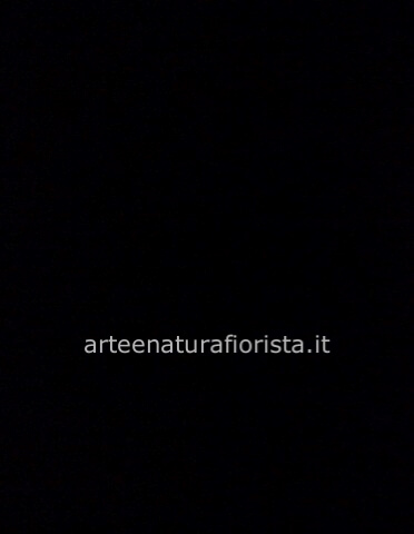 Omaggio da concordare al telefono