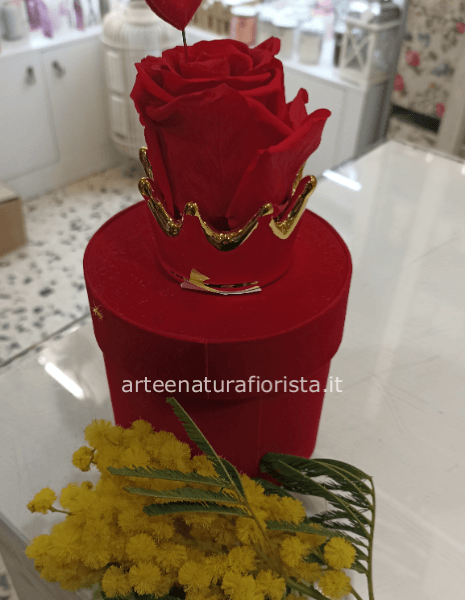 Rosa stabilizzata con mimosa