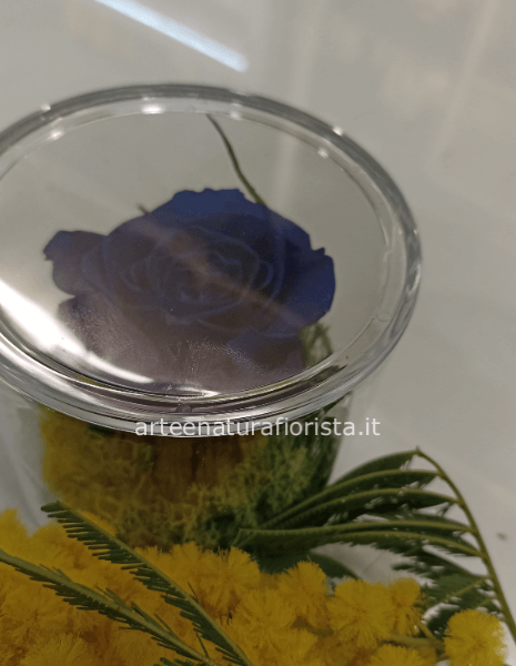 Rosa stabilizzata con mimosa