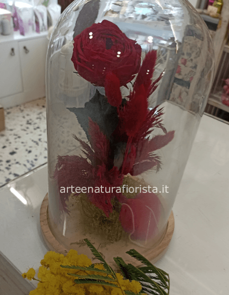 Rosa stabilizzate in campana