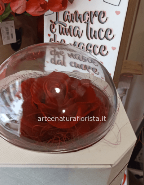 Rosa stabilizzata maxy