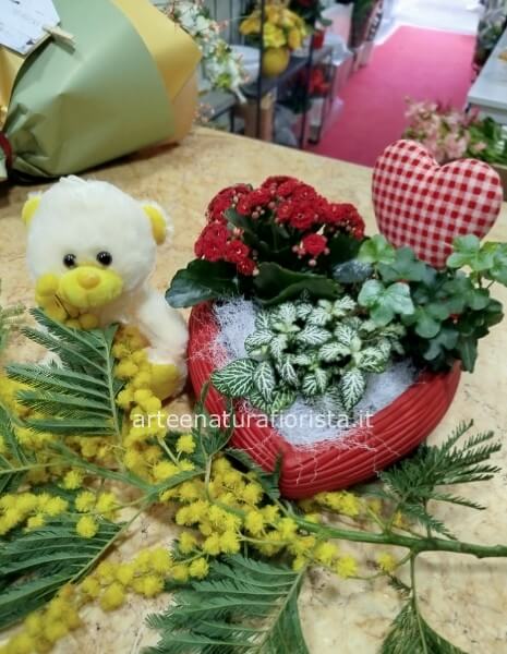 Composizione di piantine con peluche e mimosa