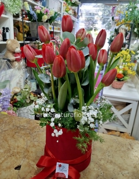 Box tulipani rosso o altri colori